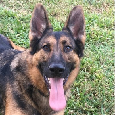 Profile Picture of Amanda Combs (@amandacombs45) on Twitter