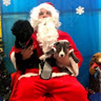 Profile Picture of Ciera Thompson (@ciera-thompson-11) on Quora