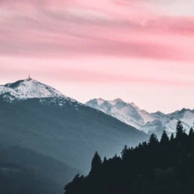 Nosecretsanymor - Twitter Profile Picture of Nosecretsanymoron Twitter