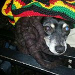 Profile Picture of Patty Andrews (@patty.andrews.96) on Instagram