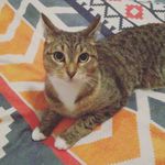 Profile Picture of Summer Patterson (@hope_summertime) on Instagram