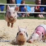 Robert Heavey - Facebook Profile Picture of Robert Heavey (@robert.heavey.58) on Facebook