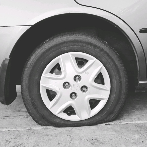 Profile Picture of Brianna Schulkins (@bschulk4) on Poshmark