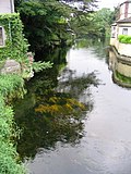 Profile Picture of Shannon River Basinon Wikipedia