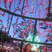 Profile Picture of Charey Mae Berdensen Garcia (@janet.garcia.10236115) on Facebook