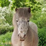 Profile Picture of Suzanne Pugh (@suzanne_pugh) on Instagram