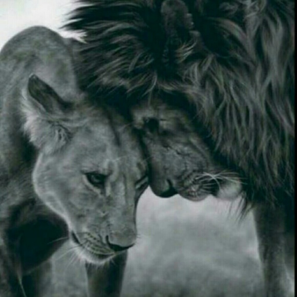 Profile Picture of Alex Hutcheson (@alex_hutcheson) on Poshmark