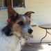 Profile Picture of Andrew Proffit (@andrew.proffit.75) on Facebook
