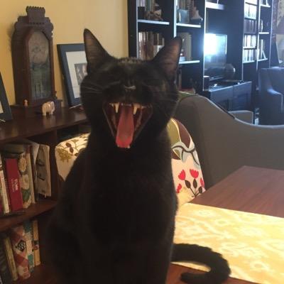 Profile Picture of Chris Kocher (@kaaaaaaaaaaaahn) on Twitter