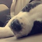 Profile Picture of jess gordon gill (@jessdoes_photoes) on Instagram