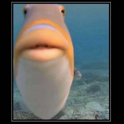 Profile Picture of Jake Hardman (@Jakehardman16) on Twitter