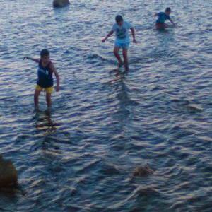 Profile Picture of Michael John Venter (@michaelventers2) on Twitter