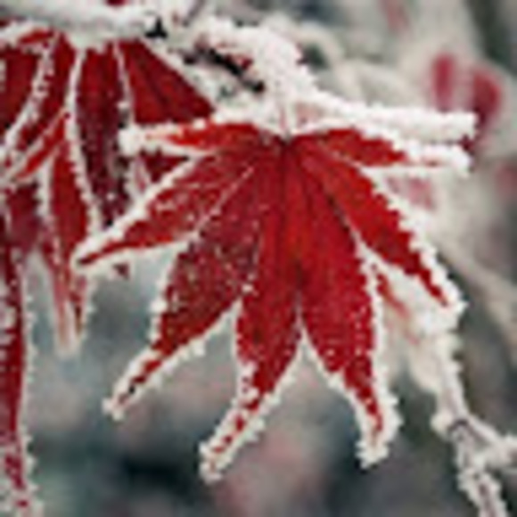 Profile Picture of Haley Bailey (@haleyponth) on Poshmark