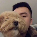 Profile Picture of Kevin Lin (@_kevin_lin) on Instagram