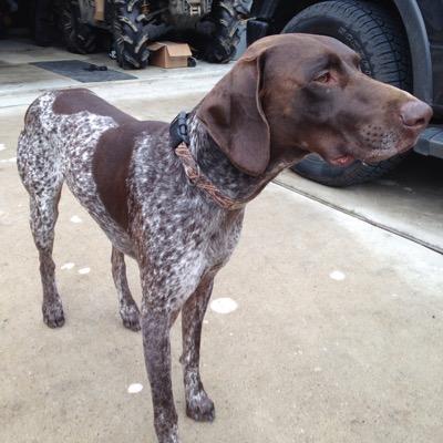 Profile Picture of Matt Fedick (@canamfox) on Twitter