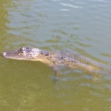 Profile Picture of Christopher Vassar (@Christo50594716) on Twitter