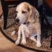 Profile Picture of David Clapp (@david.clapp.5686) on Facebook