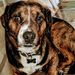 Profile Picture of Jacob Boettcher (@jacobwboettcher99) on Pinterest