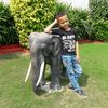 Profile Picture of Harsimran Singh (@harsimransingh087) on Tiktok