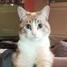 Profile Picture of Marilyne Cavin (@marilyne.cavin.7) on Facebook