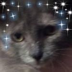 Profile Picture of Jacob Laird (@jacoblaird_____2005) on Instagram