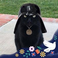 Profile Picture of Lyn Walsh (@lyn-walsh-3) on Quora