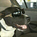 Profile Picture of Darnell Harper (@darnellharper22h) on Instagram