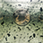 Profile Picture of David Pearce (@dpearce2011) on Flickr