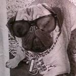 Profile Picture of Catherine Brandon (@brandon.catherine) on Instagram