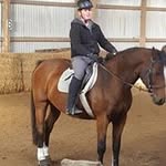 Profile Picture of Paul Schall (@schall.paul) on Instagram