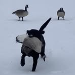 Profile Picture of Chris Bergold (@chris.bergold) on Facebook