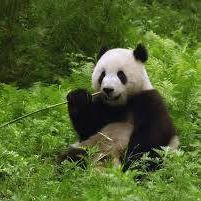 Profile Picture of Leo Bruno (@Leo-Bruno) on Facebook