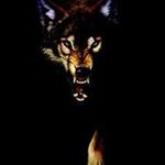 Profile Picture of Jeff Gillihan (@jeffgillihan) on Instagram