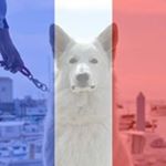 Profile Picture of Jean Marc Lesperance (@jeanmarclesperance) on Instagram