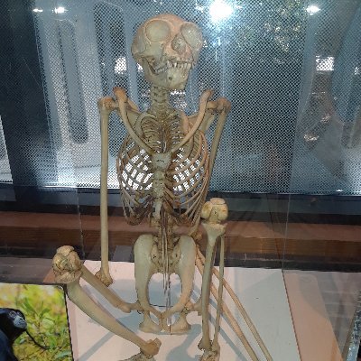 Profile Picture of Bob Birks (@birks_bob) on Twitter