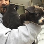 Profile Picture of Alivia Ann Patrick (@todoroki_and_deku_for_life) on Instagram