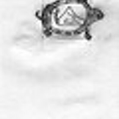 Profile Picture of Mike Cerone (@mikeccinbos) on Twitter