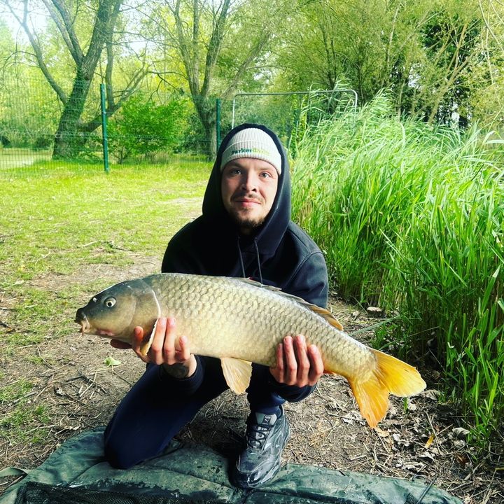 Profile Picture of Aaron Lovell (@aaronlovell23) on Tiktok