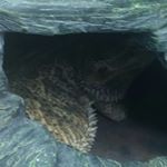 Profile Picture of Stephen Leatherman (@mediaboii) on Instagram