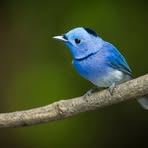 Profile Picture of Jared Kole (@Jared-Kole) on Facebook