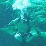 Tom Cargill - Instagram Profile Picture of Tom Cargill (@tctpa523) on Instagram