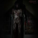 Profile Picture of Sunny Bellinghoven (@sunnybellinghoven) on Instagram