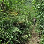 Profile Picture of Seth Beaudreault (@sethbeaudreault) on Instagram