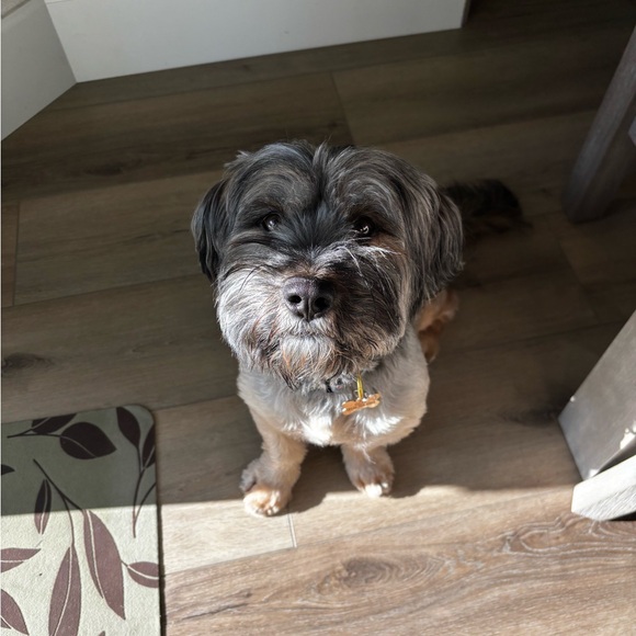 Profile Picture of Bekah Kawamura (@bekah_kawa) on Poshmark