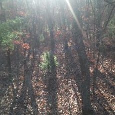 Profile Picture of Brandon VandeVusse (@Brandon_Vusse) on Twitter