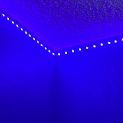 Profile Picture of Grantz (@Grantz-to9iq) on Youtube