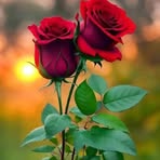 Profile Picture of Munawar Chaudhary (@munawar.chaudhary.573395) on Facebook