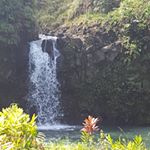 Profile Picture of Tyler Busch (@tylerbusch35) on Instagram