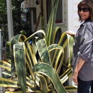 Profile Picture of Gloria Wilkes (@415451220) on Myspace