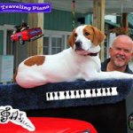 Profile Picture of Danny Kean (@travelingpiano) on Instagram